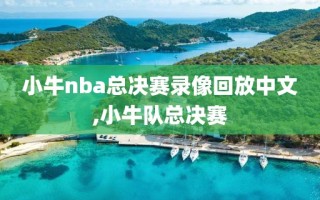 小牛nba总决赛录像回放中文,小牛队总决赛