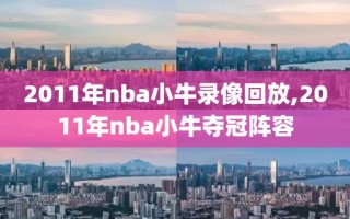 2011年nba小牛录像回放,2011年nba小牛夺冠阵容