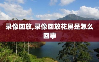 录像回放,录像回放花屏是怎么回事