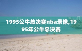 1995公牛总决赛nba录像,1995年公牛总决赛