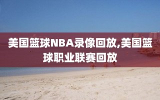 美国篮球NBA录像回放,美国篮球职业联赛回放