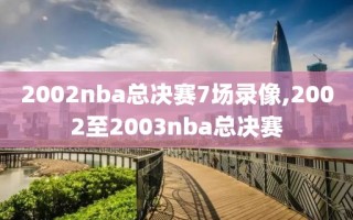 2002nba总决赛7场录像,2002至2003nba总决赛