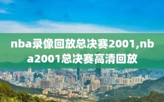 nba录像回放总决赛2001,nba2001总决赛高清回放