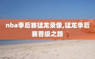nba季后赛猛龙录像,猛龙季后赛晋级之路
