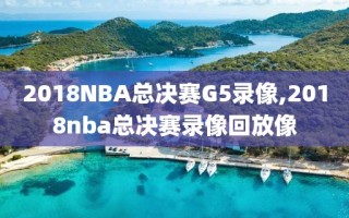 2018NBA总决赛G5录像,2018nba总决赛录像回放像