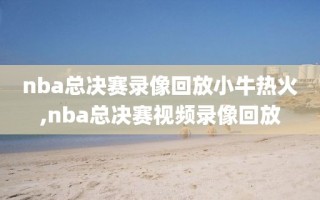 nba总决赛录像回放小牛热火,nba总决赛视频录像回放