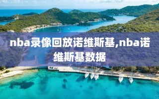 nba录像回放诺维斯基,nba诺维斯基数据