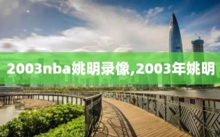 2003nba姚明录像,2003年姚明